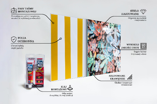 Stänkskydd kök Färgglada suckulenter