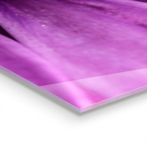 Stänkskydd kök Lila sommarblomma