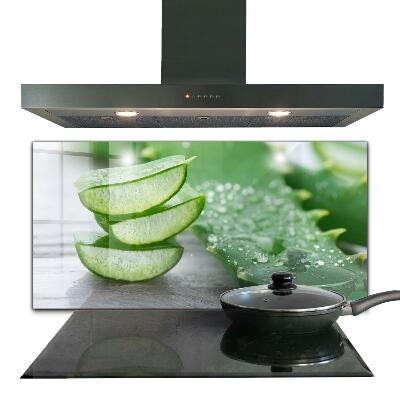 Stänkskydd kök Aloe Aloe Vera växt