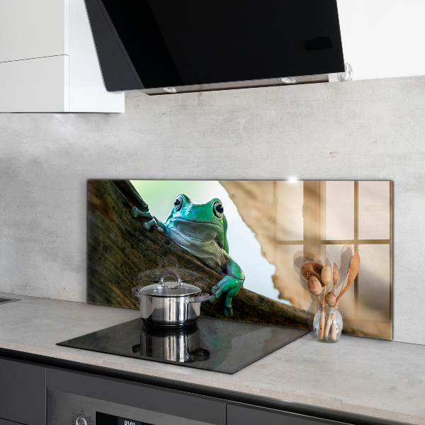 Stänkskydd kök Nyfiken Groda På Ett Löv