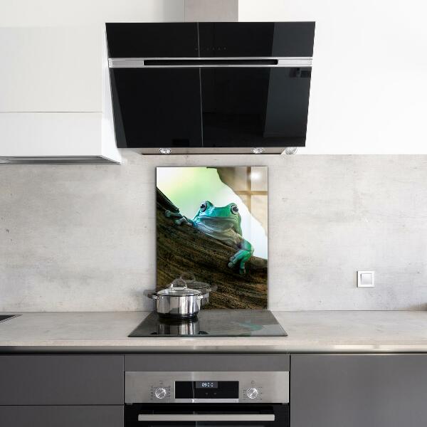 Stänkskydd kök Nyfiken Groda På Ett Löv