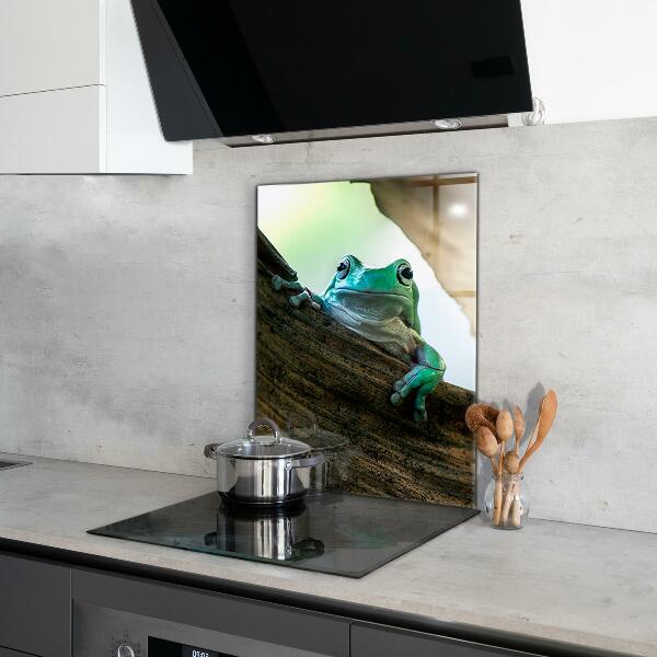 Stänkskydd kök Nyfiken Groda På Ett Löv