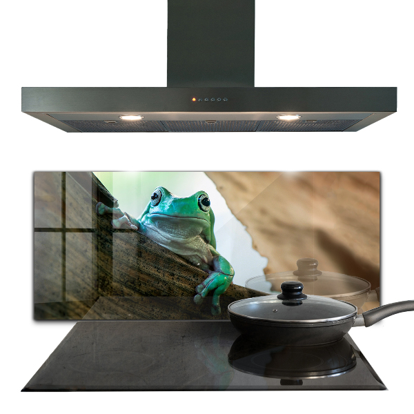 Stänkskydd kök Nyfiken Groda På Ett Löv