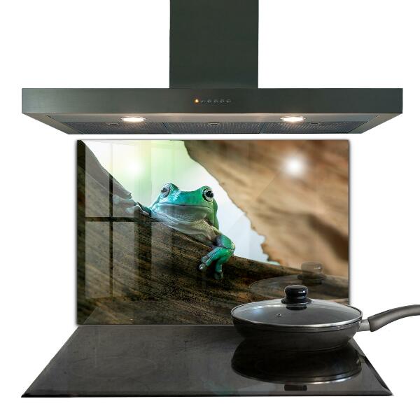 Stänkskydd kök Nyfiken Groda På Ett Löv