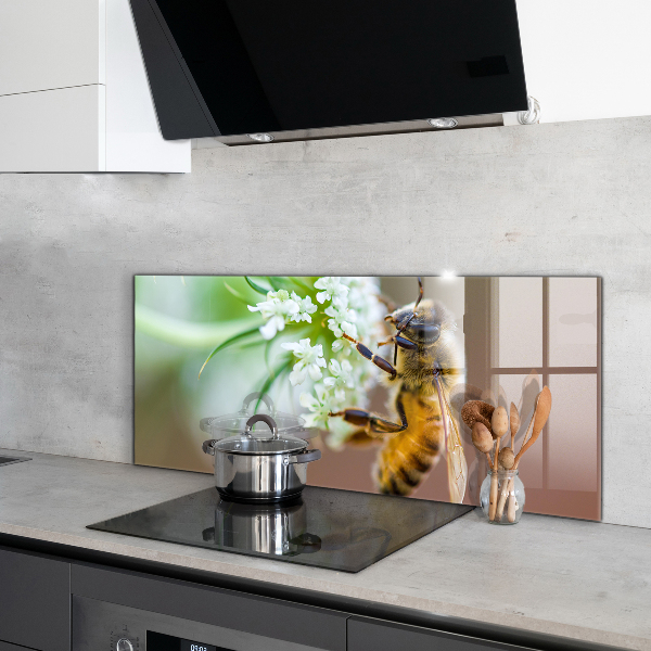 Stänkskydd kök Bi samlar pollen