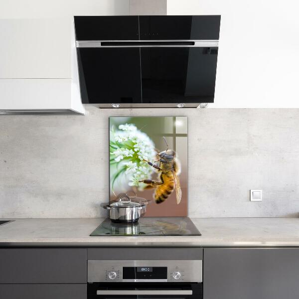 Stänkskydd kök Bi samlar pollen