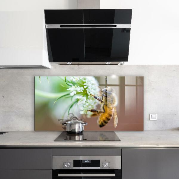 Stänkskydd kök Bi samlar pollen