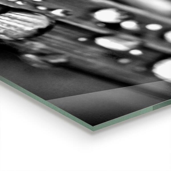 Stänkskydd kök Blad Rosa Svart och vitt