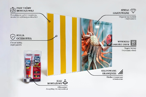 Stänkskydd kök Nyckelpiga Röd skalbagge