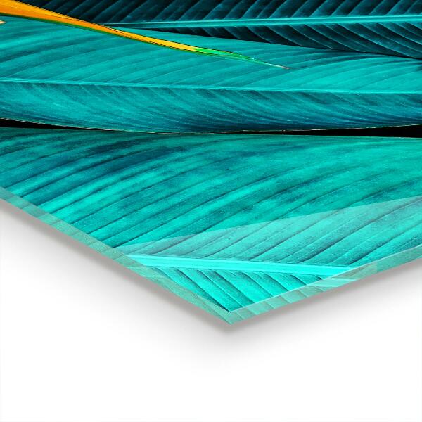 Stänkskydd kök Tropisk exotisk blomma