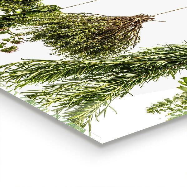 Stänkskydd kök Torkade örter Örtmedicin