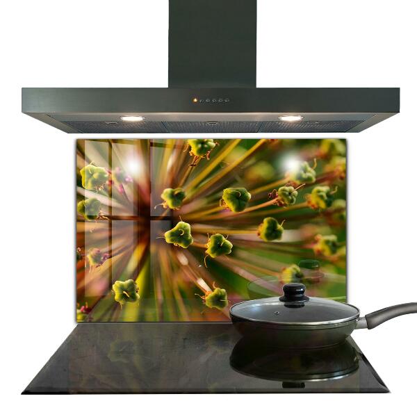 Stänkskydd kök Blomma makro foto