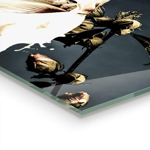 Stänkskydd kök Abstrakt vit blomma