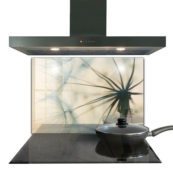 Stänkskydd kök Vacker delikat maskros