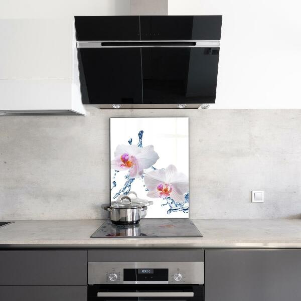 Stänkskydd kök Orkidé beströdd med vatten