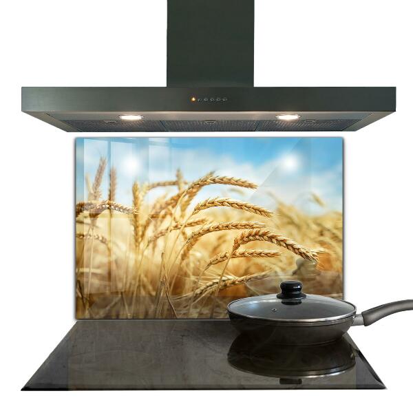 Stänkskydd kök Spannmålsgåvor av moder natur