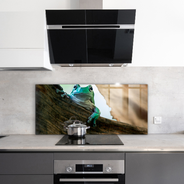 Stänkskydd kök Porträtt av afrikansk groda