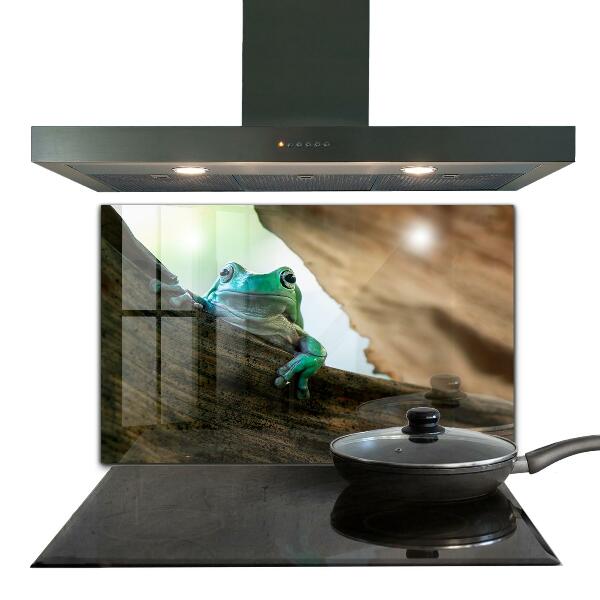 Stänkskydd kök Porträtt av afrikansk groda