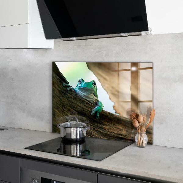 Stänkskydd kök Porträtt av afrikansk groda