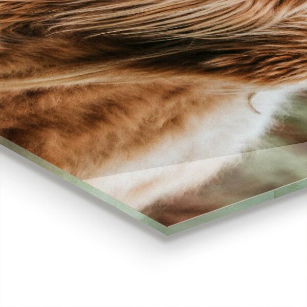 Stänkskydd kök Highland Cottage Style Cow