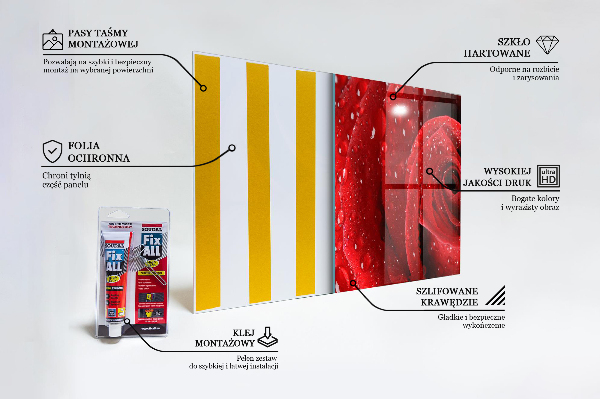 Stänkskydd kök Daggdroppar på en röd ros