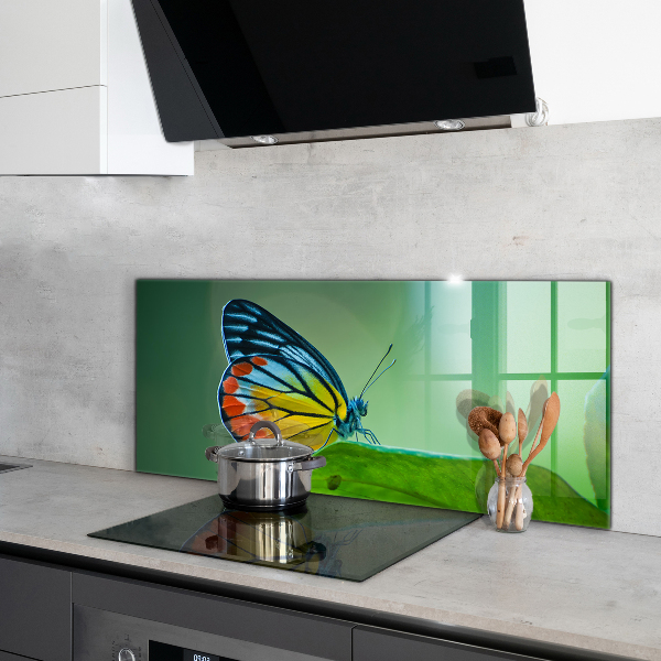 Stänkskydd kök Fjäril som vilar på ett löv