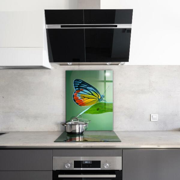 Stänkskydd kök Fjäril som vilar på ett löv