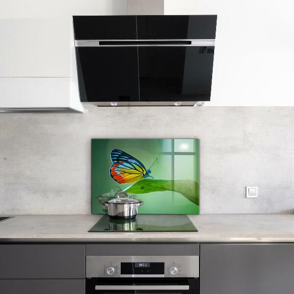 Stänkskydd kök Fjäril som vilar på ett löv