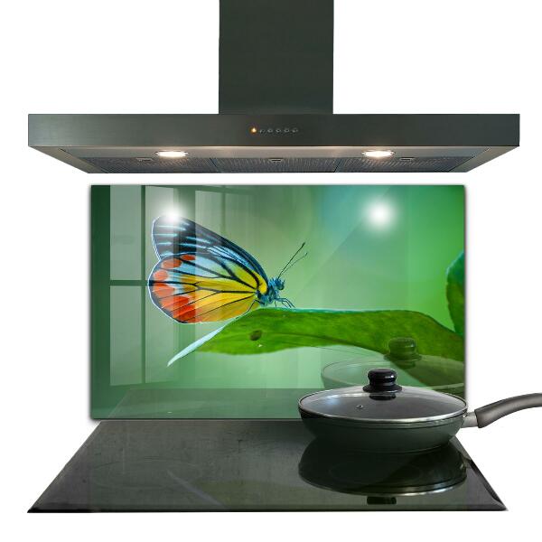 Stänkskydd kök Fjäril som vilar på ett löv