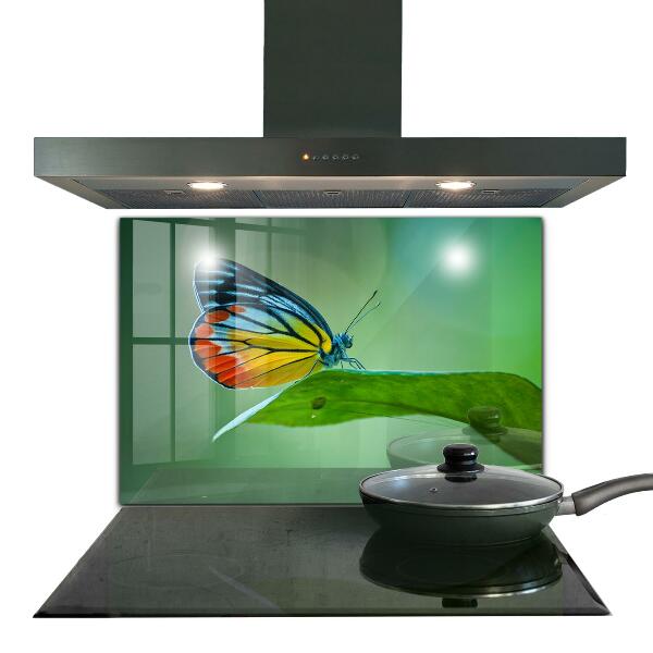 Stänkskydd kök Fjäril som vilar på ett löv