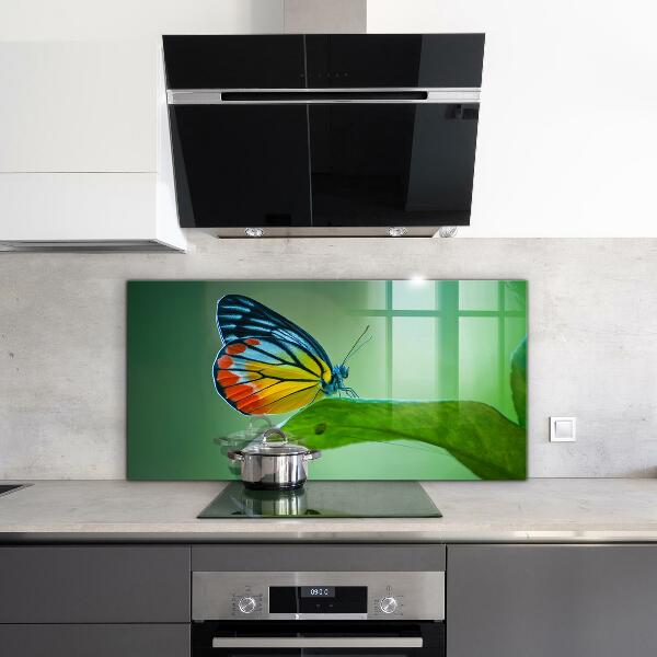 Stänkskydd kök Fjäril som vilar på ett löv