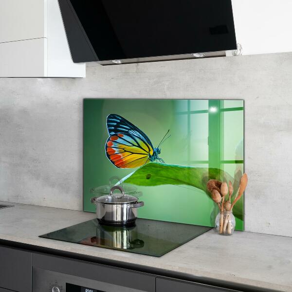 Stänkskydd kök Fjäril som vilar på ett löv