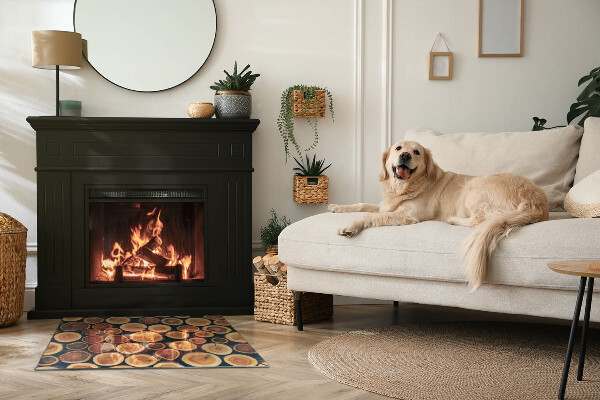 Rektangulär glasskiva framför öppen spis Låda med sågat trä